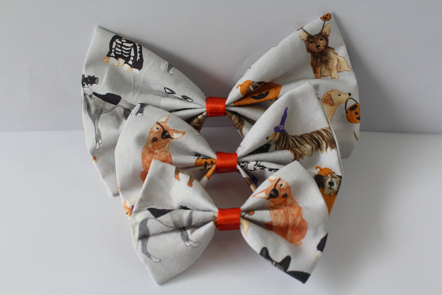 Trick or Treat Dogs Halloween Medium Bow 2024